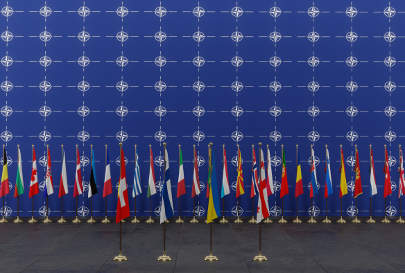 nato-member-countries-flags-flags-nato-members-nato-summit 3