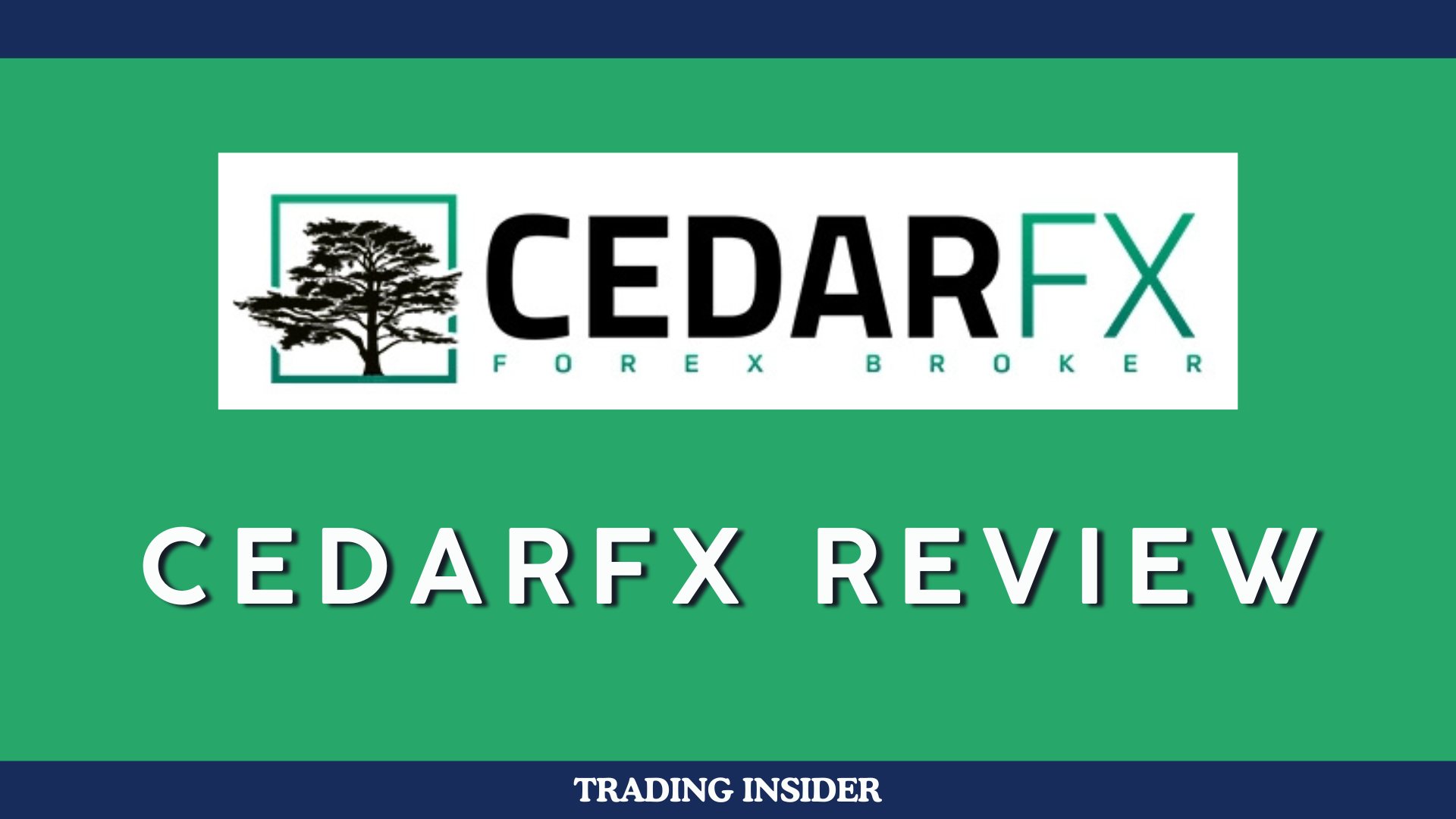 CedarFX Review