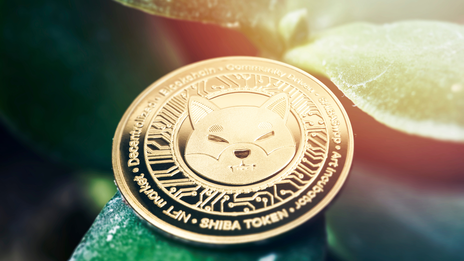 Shiba Inu Price Forecast SHIB wallets hit all-time high of 1