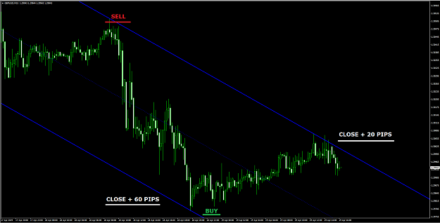 What-are-Forex-Indicators